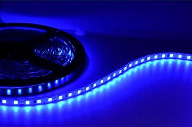 Lumières de bande flexibles imperméables de SMD2835 LED pour la décoration de parc à thème
